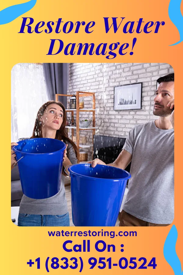 water restoration Direct Extraction Professionals La Mesilla